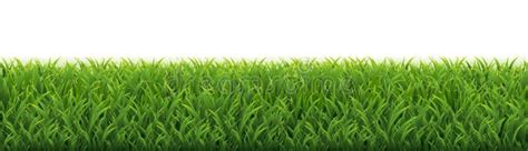 Grass Border with White Background Stock Photo - Image of petal, green ...