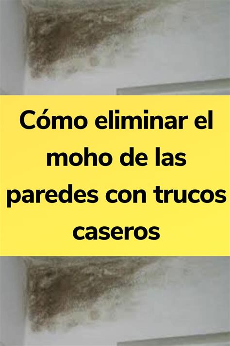 Cómo eliminar el moho de las paredes con trucos caseros Limpiar moho