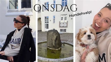 VLOG Besøger hundehvalpene får farvet hår YouTube