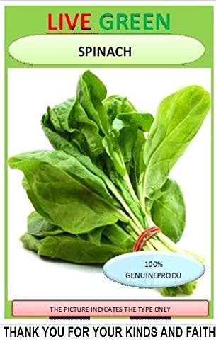 Live Green Palak Spinach F1 Hybrid Seeds Vegetable Seeds 100