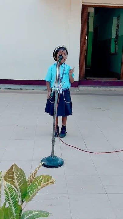 Pre Primary Rhymes Day Juniors Rhymes Rhymes Video Youtube