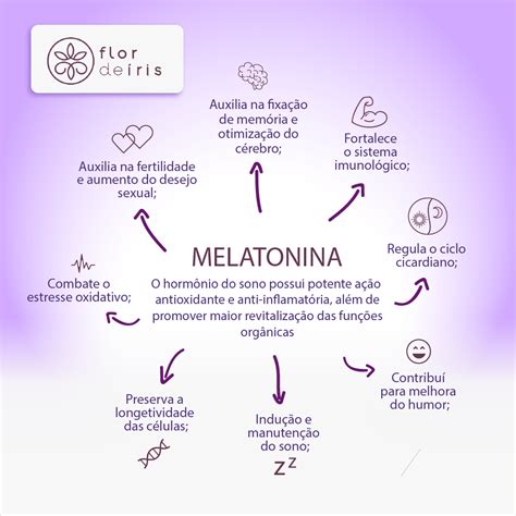 MELATONINA SLEEP REPAIR I OFERTA COMPRE 4 E LEVE 5 Flor de Íris