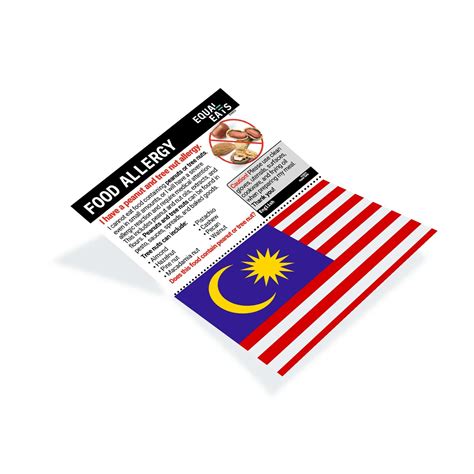 Peanut & Tree Nut Allergy Translation Card in Malay | Download – Equal Eats
