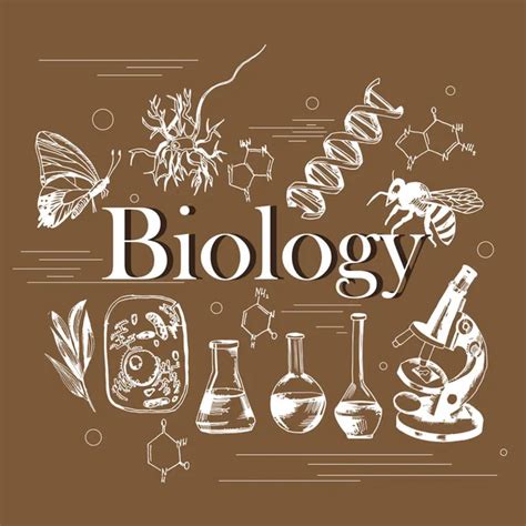 biology aqa gcse past papers 13