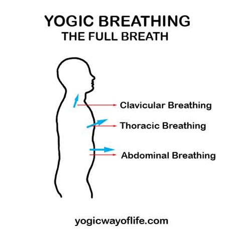 Yogic Breathing - The Art of Natural Breathing