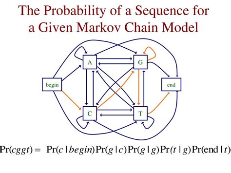 Markov Chain Model Sciencelery