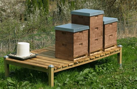 Natural Beekeeping: Tips, Techniques, and Benefits