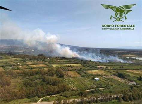 Oggi 26 Incendi In Sardegna Elicotteri In Azione Nel Sassarese E Nel