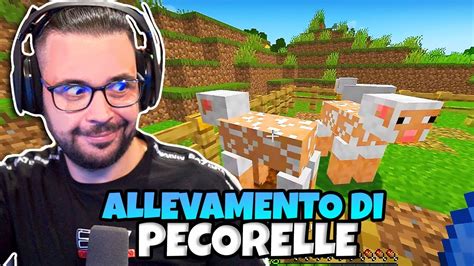 Allevamento Di Pecore Sia MINECRAFT YouTube