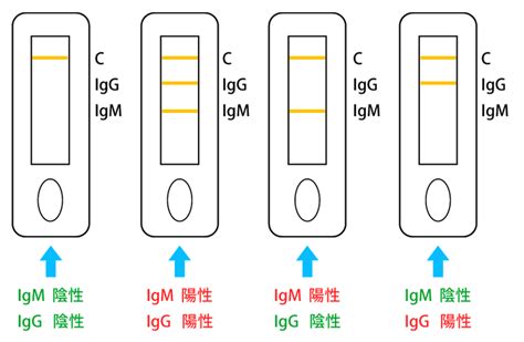 新型コロナウイルス抗体検査のご案内 むこうがおかクリニック︱川崎市多摩区登戸︱土日も診療