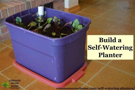 Self Watering Planters Diy Demo How They Work Tips For Use