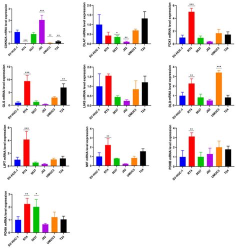 Molecular Subtypes Tumor Microenvironment Infiltration