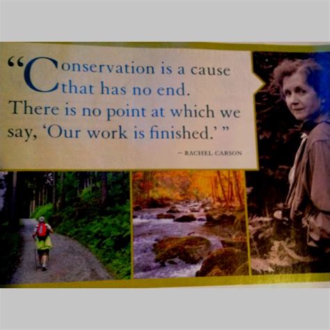 From Rachel Carson Quotes. QuotesGram