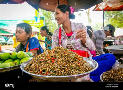 Insect Ant Food Market Koh Chen Cambodia Stock Photo Alamy