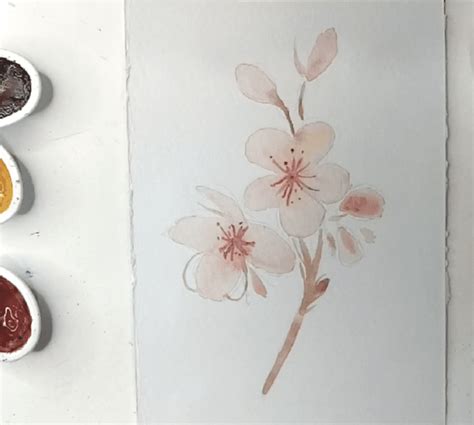 Kirschblüten malen lernen 5 Schritte Anleitung in Aquarell