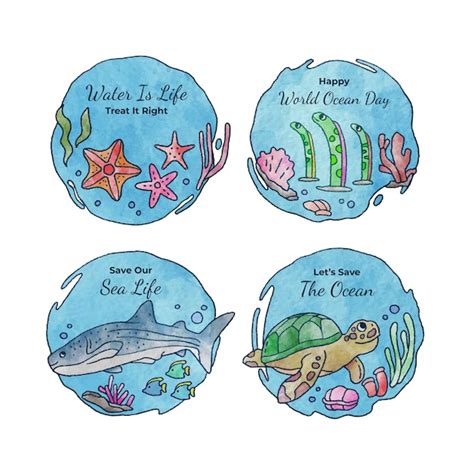 Ocean Adventure Stickers Vectors And Illustrations For Free Download