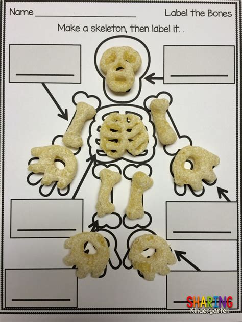 Fun Bag of Bones Learning Activity & Freebie File - Sharing Kindergarten