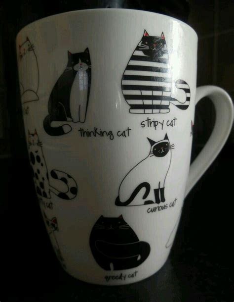 Taza Jarro Mug Gatos Mugs Cat Mug Glassware