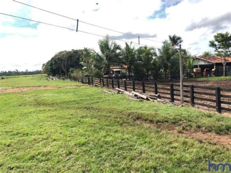 Fazenda na Estrada Vicinal Municipal de São Félix do Xingu PA KM 30