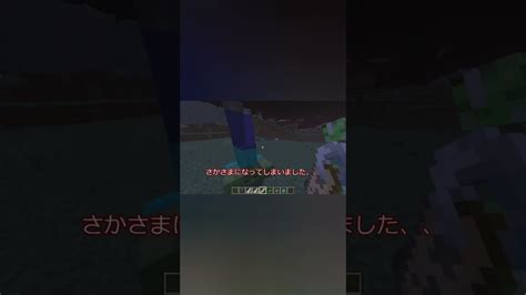 【マイクラ】なんとモブをさかさまにできる名前がある！？？？意外なモブも！？？minecraft マインクラフト マイクラ豆知識