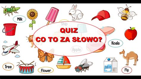 Quiz dla dzieci słówka po angielsku Nauka podstawowych słów po