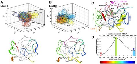 Qaa Describes Conformational Sub States Leading To Transition State