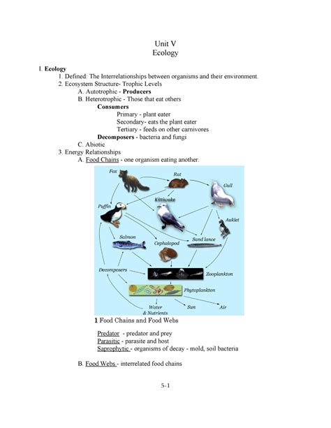 Ecology Notes Ecology Notes 1 Food Chains And Food Webs Unit V