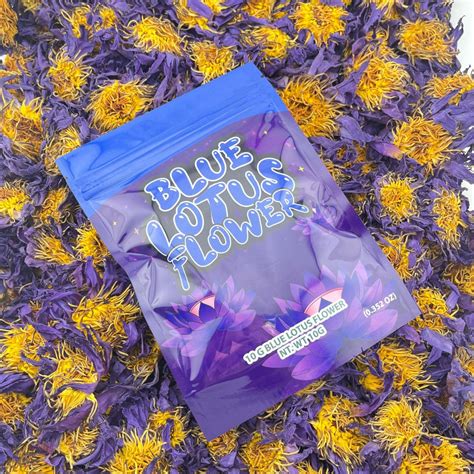 Blue Lotus Effects Uses Where To Buy Blue Dream Tea Uk