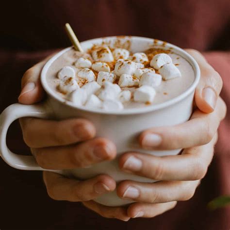 Warme Chocolademelk Maken Variatietips Vega Recepten