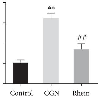 Effects Of Rhein On Nf B Signaling Pathway In Rats With Chronic