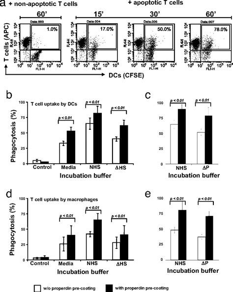 The Complement Protein Properdin Binds Apoptotic T Cells And Promotes