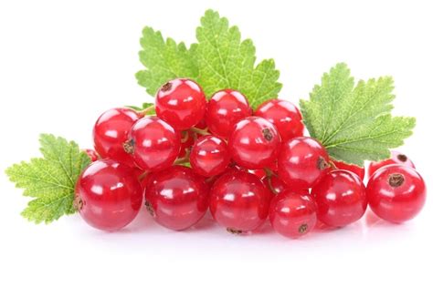 Premium Photo Red Currant Currants Berries Fruits Fruit Isolated