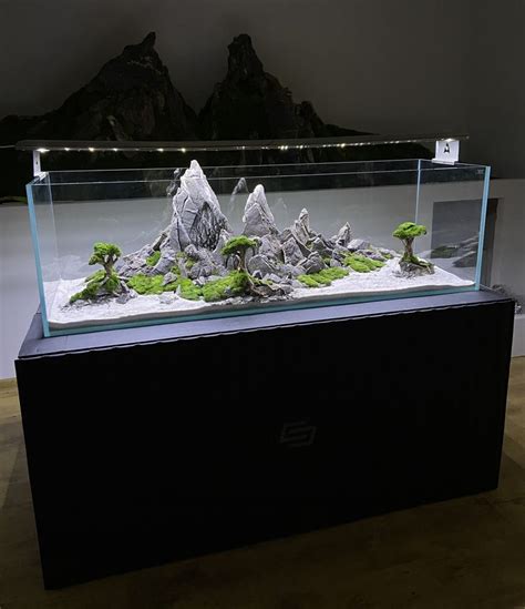 Akwarium Na Wymiar Optiwhite Aquascape Design Aquarium Design