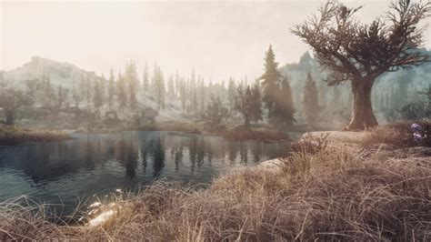 Fondos De Pantalla Enb Dulce F The Elder Scrolls V Skyrim