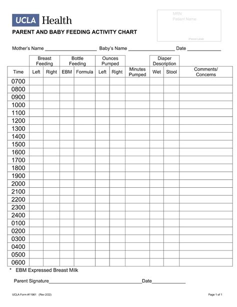 Free Printable Baby Feeding Chart Templates Pdf Word Excel