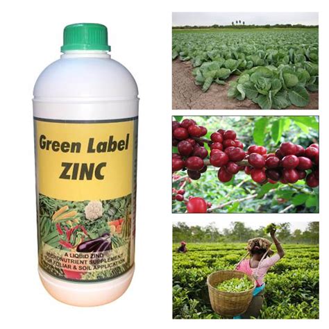 Gassin Pierre Green Label Zinc Fertilizer