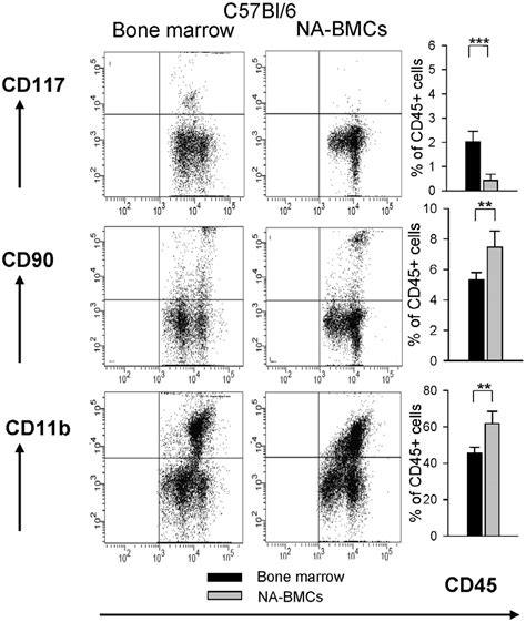 Comparative Flow Cytometric Analysis Of Bone Marrow And Na Bmcs Shown