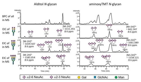 Figure 2 [liquid Chromatography Mass Spectrometry Lc Ms Profiling