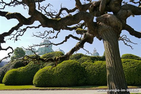 Fotostory Königlichen Gewächshäuser bei Brüssel 1 Park und