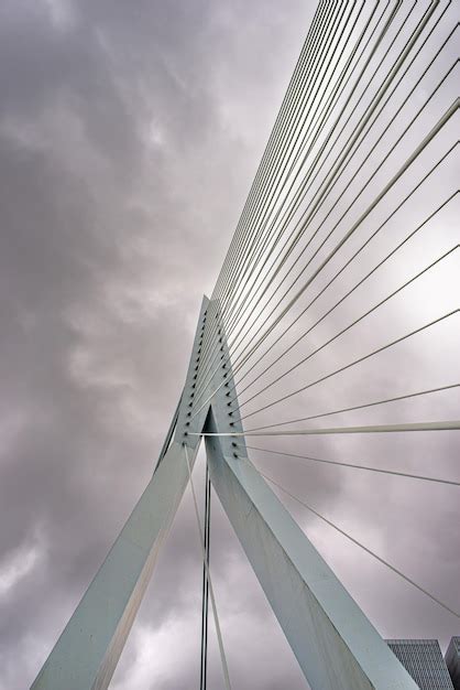Premium Photo Erasmus Bridge Rotterdam