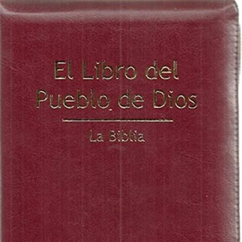 Biblia El Libro Del Pueblo De Dios Nuevo Testamento Jes S Nicol S