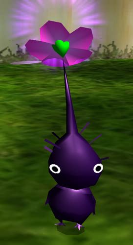 Purple Pikmin Pikmin251 Wiki Fandom