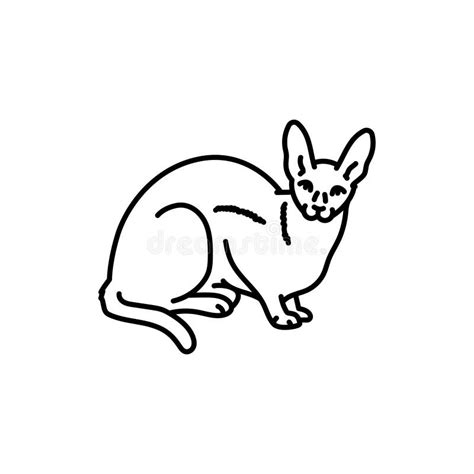 Cornish Rex Stock Illustrations 415 Cornish Rex Stock Illustrations