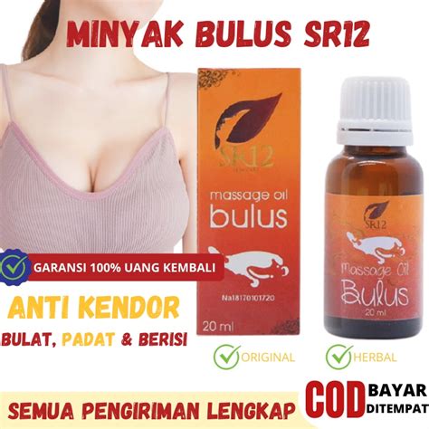 Jual Minyak Bulus Original Pembesar Payudara Bpom Ampuh Permanen