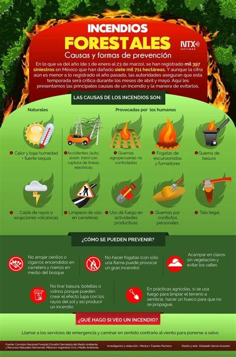 Infografía Incendios Forestales En México Imagenes De Incendios Forestales Infografia