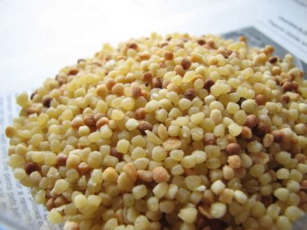 My Favorite New Dinner: Fregola with Zucchini and Pine Nuts | The ...