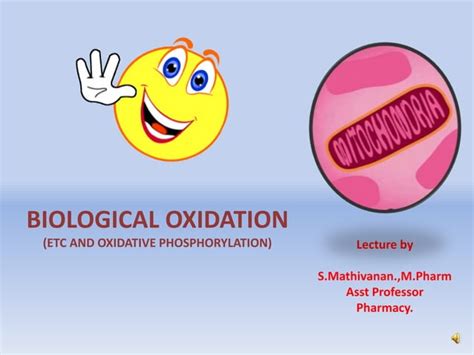 Biological Oxidation Of Atp Synthesis Part Ii Ppt Free Download