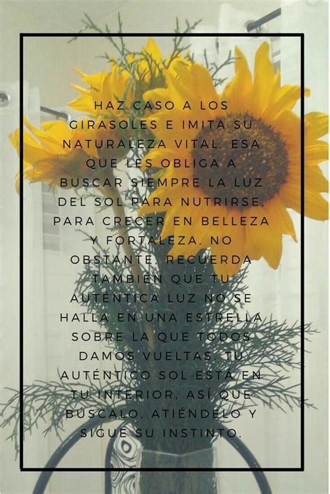 Pin De Patriishiia En Palabras Bien Dichas Frases Girasoles