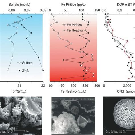 Vertical Variations of (a) of sulfur isotopes (δ34S) in sulfate, (b ...