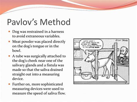 Ppt Classical Conditioning Powerpoint Presentation Free Download
